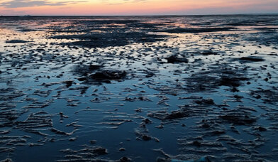 Sonnenaufgang Watt - Copyright: MLP