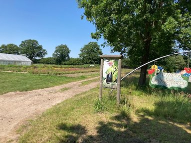 Gemüsegarten