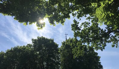 Sonne und Kirchturmspitze - Copyright: eigenes Bild