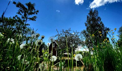 Copyright: K. Winkler-Budwasch