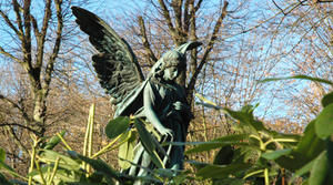 Copyright: Sabine Pfeiffer-Petersen