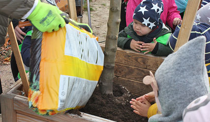 Kinder pflanzen einen Apfelbaum in Hamburg - Copyright: © Hagen Grützmacher