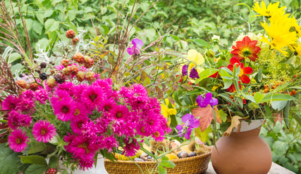 Die Fülle der Schöpfung kommt zu Erntedank auf den Tisch - Copyright: fotoknips/fotolia