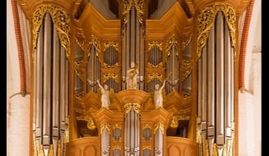 Arp-Schnitger-Orgel - Copyright: Michael Bogumil