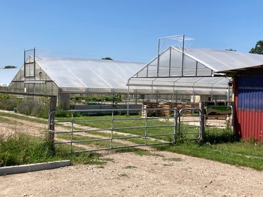 Gemüsegarten
