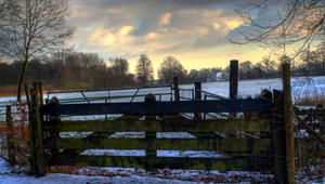 Copyright: Liesbeth Klein Haneveld