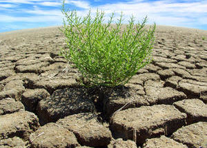 Copyright: Fotolia