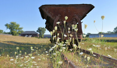 Die Saat wächst trotzdem. - Copyright: KZ-Gedenkstätte Neuengamme