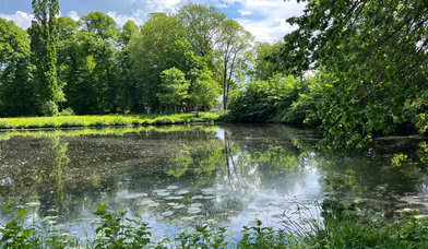 Teich in Glückstadt - Copyright: Martin Bethge