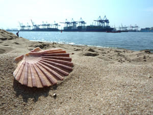 Blick vom Elbstrand auf Hamburger Hafen - Copyright: Mechthild Klein