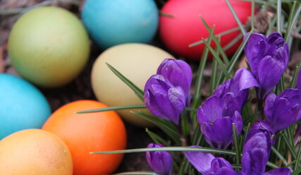 Ostereier liegen neben Blumen - Copyright: Stefanie Bernecker / fundus-medien.de