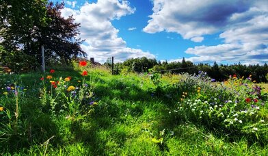 Copyright: K. Winkler-Budwasch