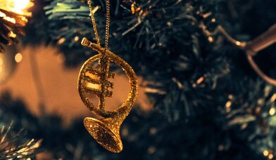 Horn am Tannenbaum - Copyright: Benkamin Wiens, pixelio