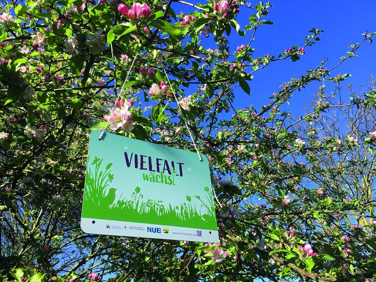 Schild mit Aufschrift Vielfalt wächst in blühenden Baum 