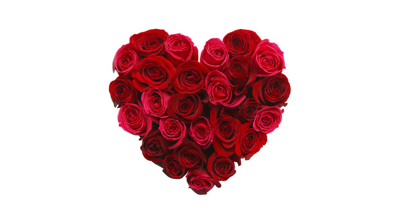 Der Michel hat (nicht nur ) am Valentinstag ein Herz für Paare