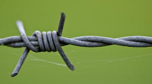 Copyright: Natan Bolckmans, iStockphoto