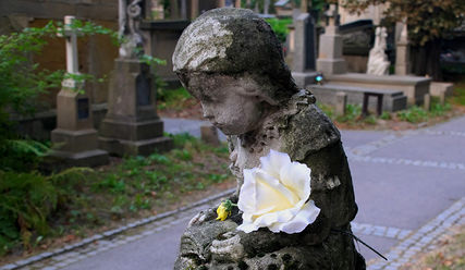 still geboren – © Creative Commons, CC0