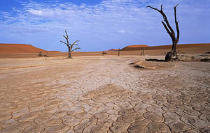 Copyright: Fotolia