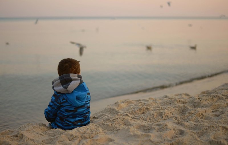 Kleines Kind blickt auf ein Meer, Vögel