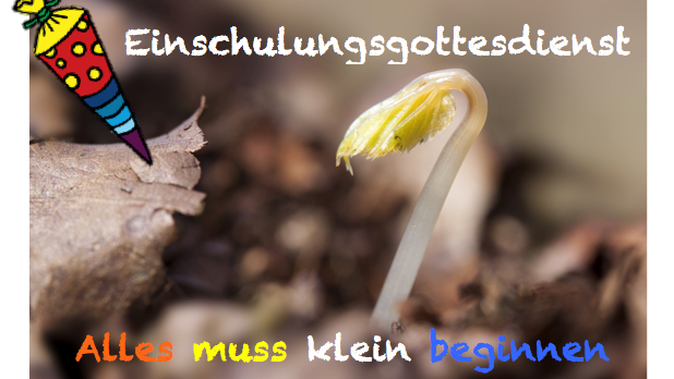 Alles muss klein beginnen