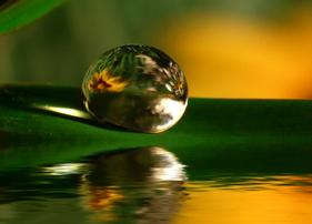 - Copyright: fotolia - Copyright: fotolia