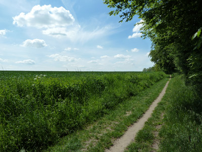 Pilgerweg - Copyright: Mechthild Klein / kirche-hamburg.de Pilgerweg in Schleswig-Holstein - Copyright: Mechthild Klein / kirche-hamburg.de