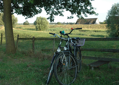 Mit dem Fahrrad durch die Pinneberger Elbmarsch - Copyright: Andreas-M. Petersen / kirche-hamburg.de