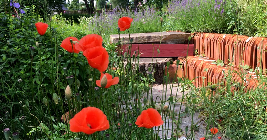 Der Kräutergarten